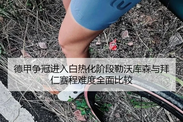 德甲争冠进入白热化阶段勒沃库森与拜仁赛程难度全面比较