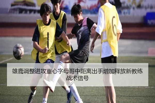 img_1781730771831_2039_0_214.jpg | kaiyun